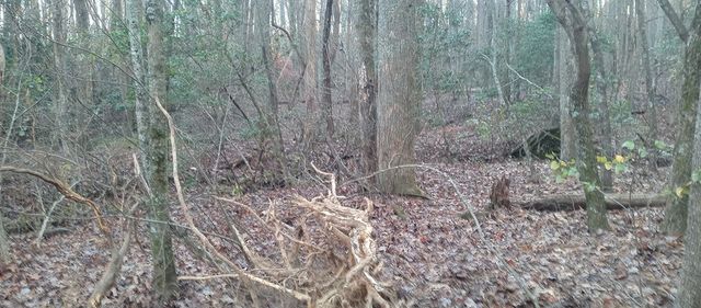 00 Lower Sassafras Parkway, Jasper, GA 30143