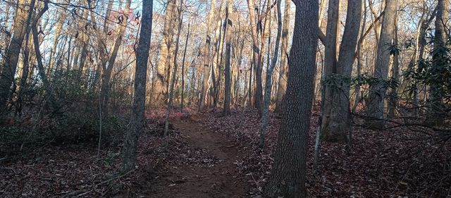 00 Lower Sassafras Parkway, Jasper, GA 30143