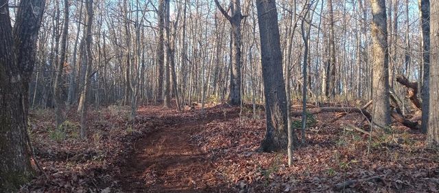 00 Lower Sassafras Parkway, Jasper, GA 30143