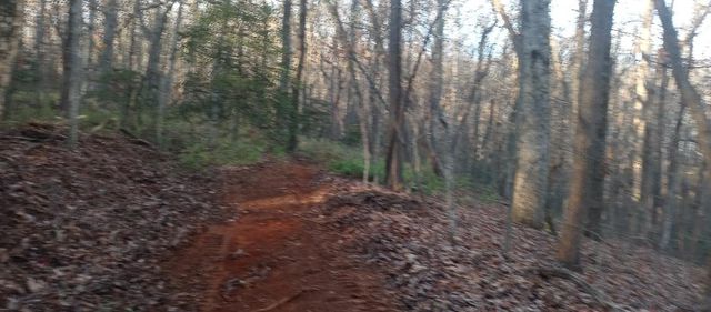 00 Lower Sassafras Parkway, Jasper, GA 30143