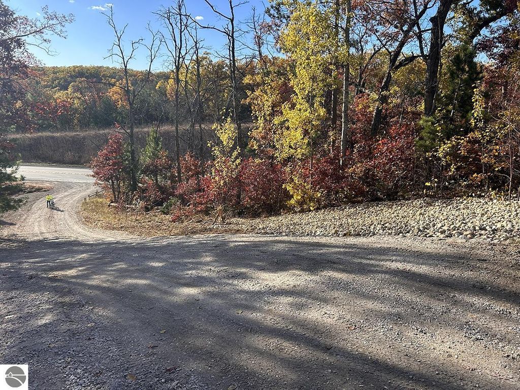 Scenic view of a winding gravel road surrounded by vibrant autumn foliage near Rose City, MI, ideal for outdoor enthusiasts and nature lovers.
