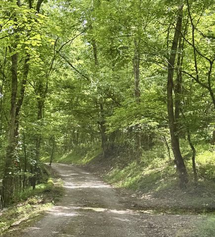 6 Mason Ln, Brush Creek, TN 38547