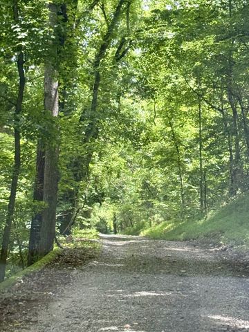 6 Mason Ln, Brush Creek, TN 38547