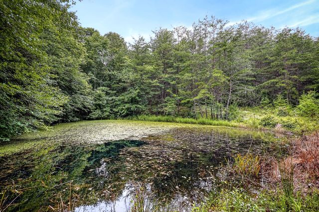 1400 Orlie Young Rd, Crab Orchard, TN 37723