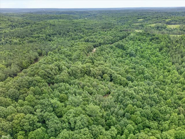 0 Homestead Court, Dover, TN 37058