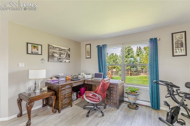 15041 La Jolla Place, Colorado Springs, CO 80921