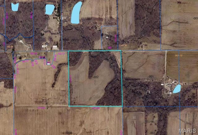 15247 Seven Sisters Avenue, Irving, IL 62051