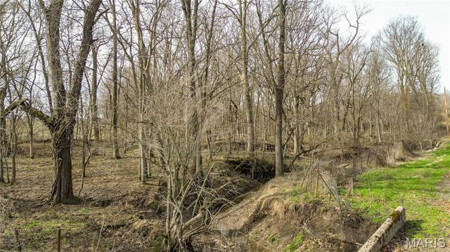 15247 Seven Sisters Avenue, Irving, IL 62051