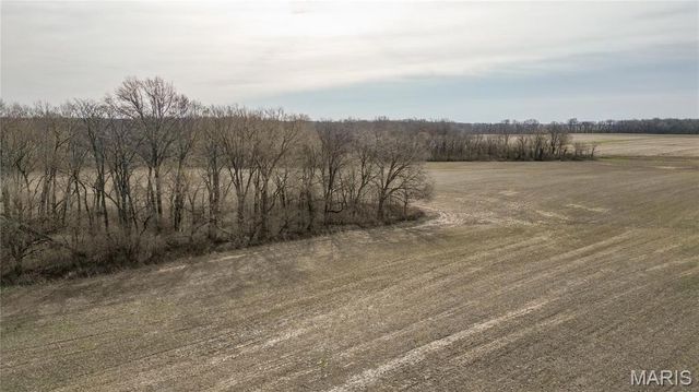 15247 Seven Sisters Avenue, Irving, IL 62051