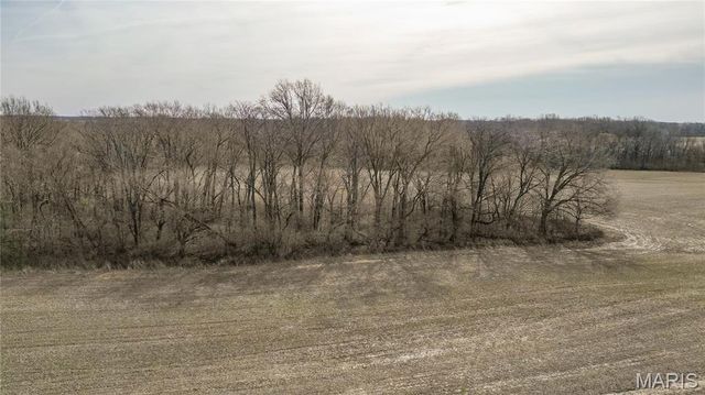 15247 Seven Sisters Avenue, Irving, IL 62051