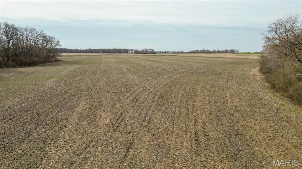 15247 Seven Sisters Avenue, Irving, IL 62051