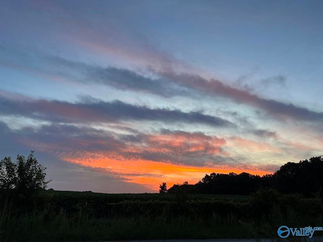 21336 Clement Gin Road, Athens, AL 35613