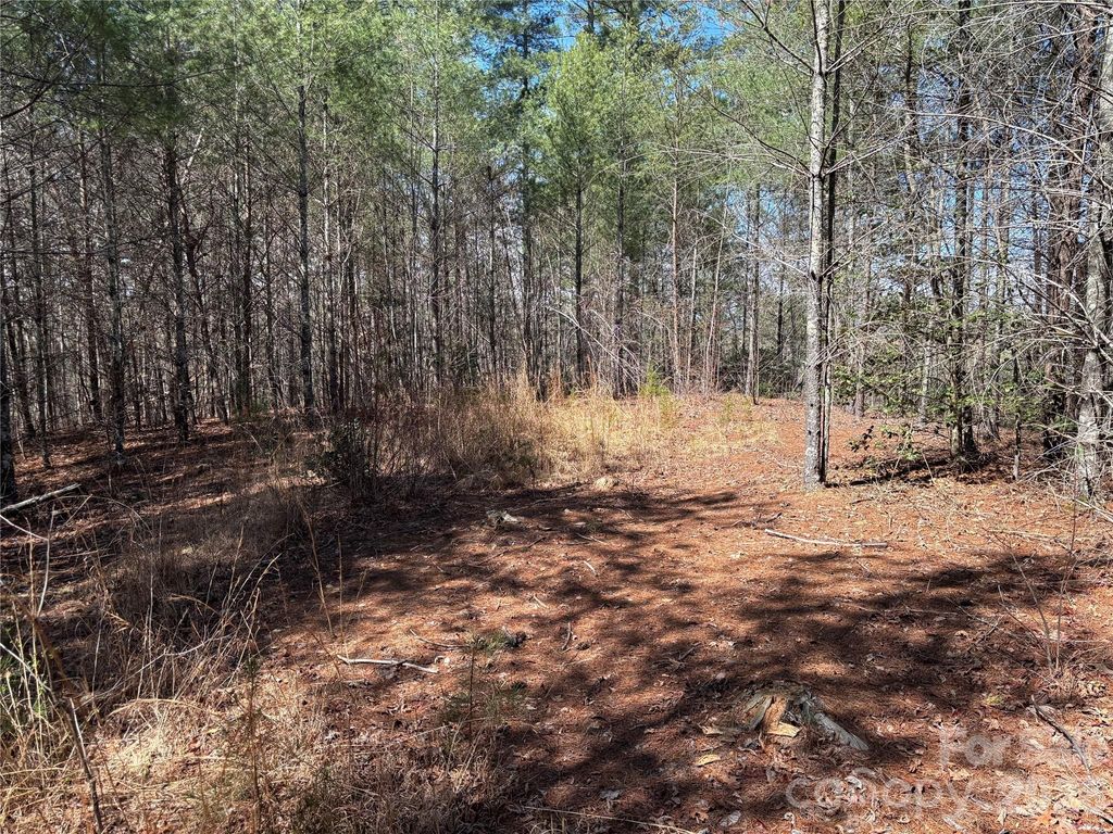 2042 Shadow Ridge Trail G41, Lenoir, NC 28645