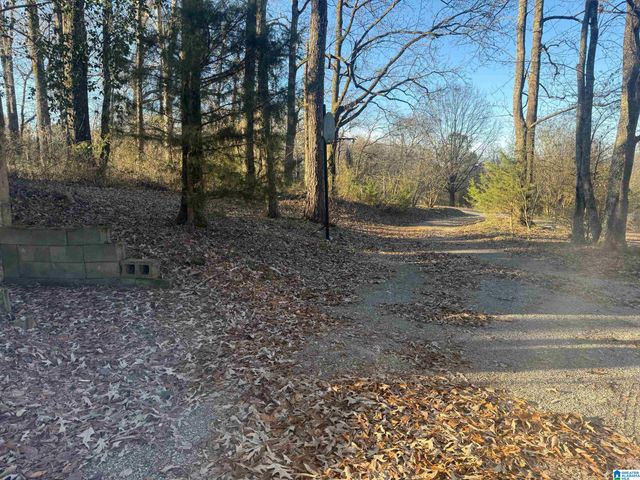 6817 BURCHFIELD LOOP, Mccalla, AL 35111