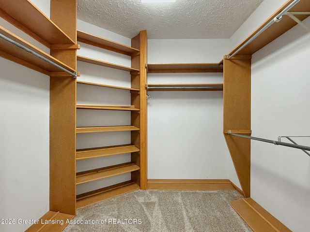 10289 Lafayette Lane, Dimondale, MI 48821