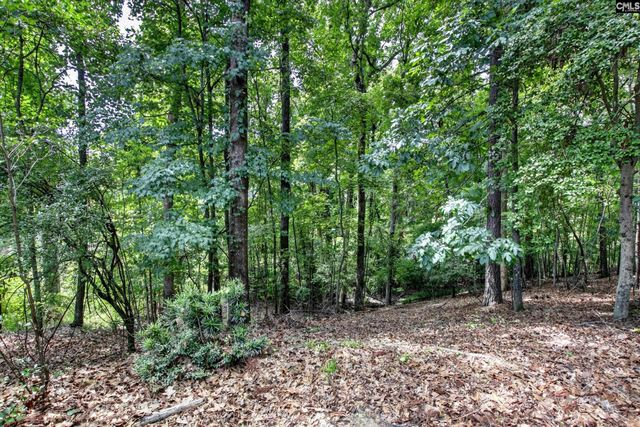 113 Athena Lane, Lexington, SC 29072