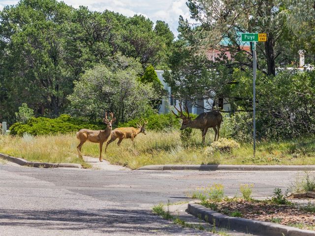 585 Navajo, Los Alamos, NM 87544