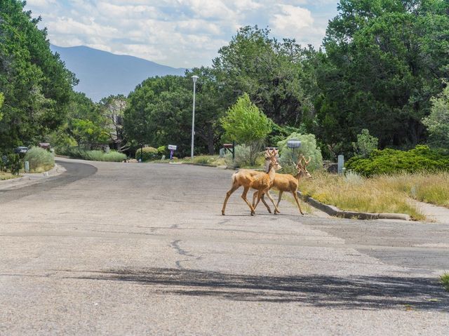585 Navajo, Los Alamos, NM 87544