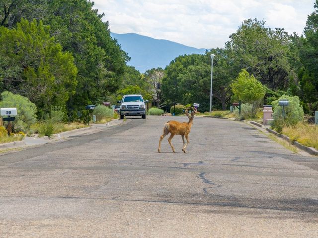 585 Navajo, Los Alamos, NM 87544