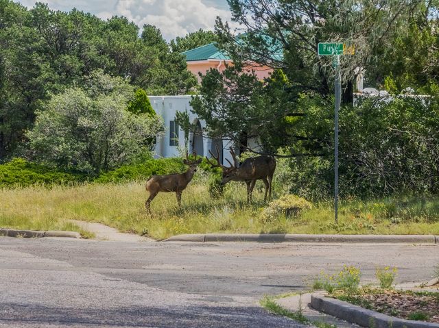 585 Navajo, Los Alamos, NM 87544