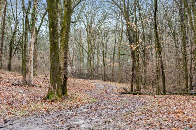 0 Carters Creek Pike, Franklin, TN 37064