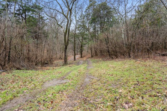 0 Carters Creek Pike, Franklin, TN 37064