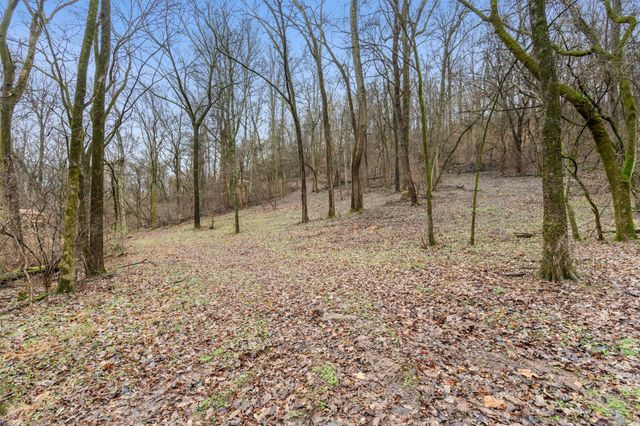 0 Carters Creek Pike, Franklin, TN 37064