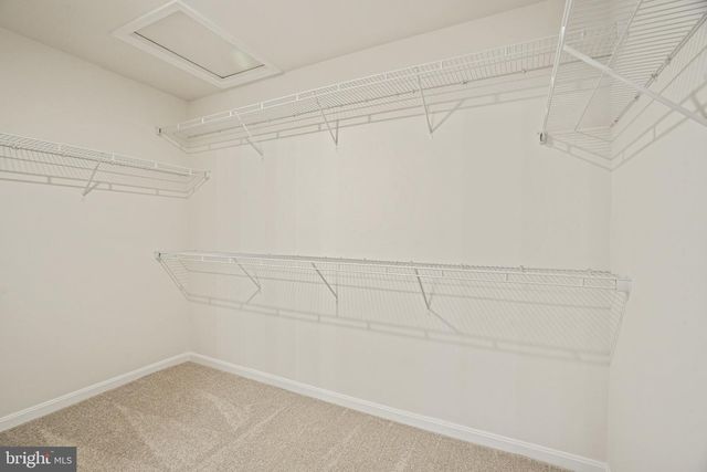 120 CATALPA DR, North East, MD 21901