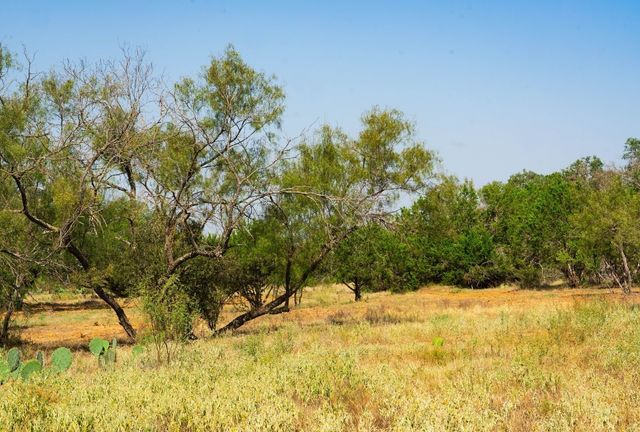 000 Old Ferry Road, Spicewood, TX 78669