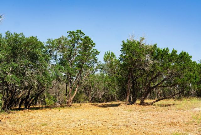 000 Old Ferry Road, Spicewood, TX 78669