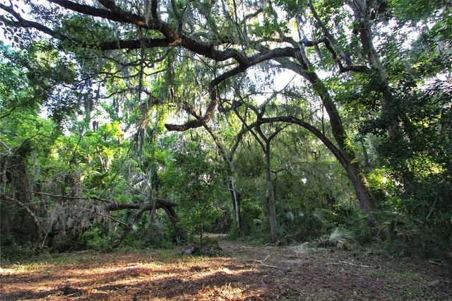 TBD CR 526, Sumterville, FL 33585