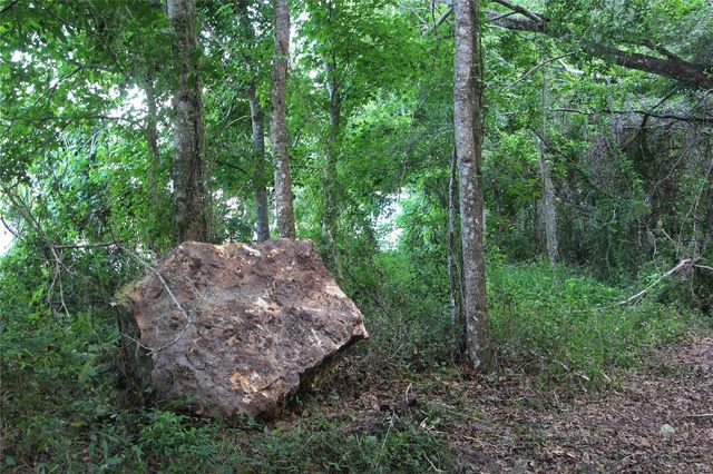 TBD CR 526, Sumterville, FL 33585