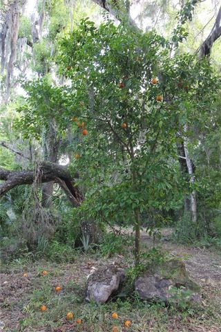 TBD CR 526, Sumterville, FL 33585