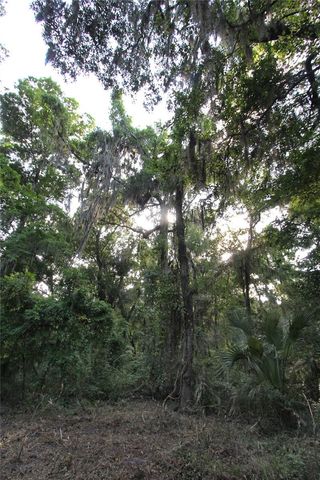 TBD CR 526, Sumterville, FL 33585