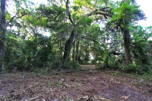 TBD CR 526, Sumterville, FL 33585