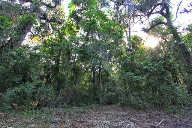TBD CR 526, Sumterville, FL 33585