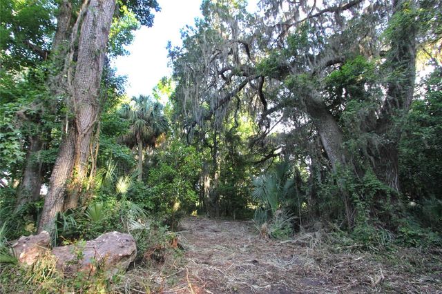 TBD CR 526, Sumterville, FL 33585