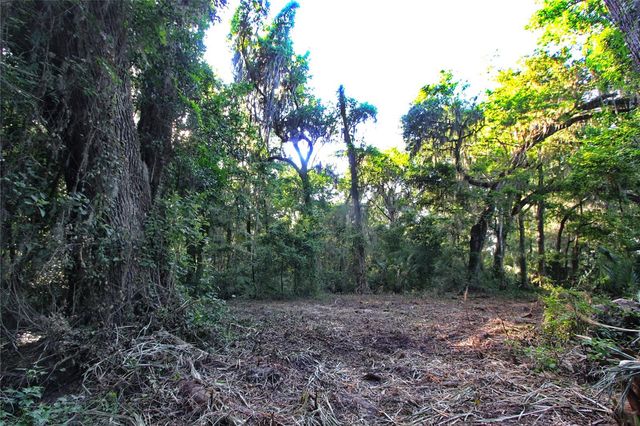 TBD CR 526, Sumterville, FL 33585