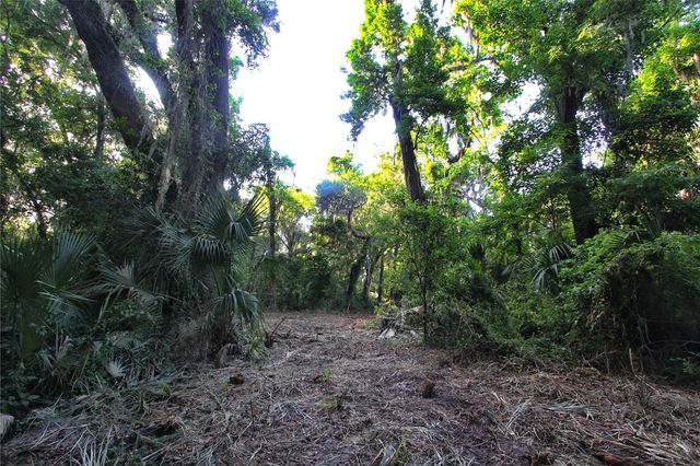 TBD CR 526, Sumterville, FL 33585