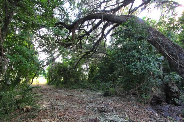 TBD CR 526, Sumterville, FL 33585