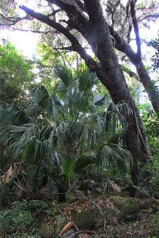 TBD CR 526, Sumterville, FL 33585