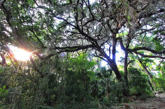 TBD CR 526, Sumterville, FL 33585