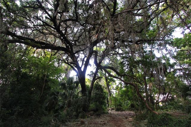 TBD CR 526, Sumterville, FL 33585