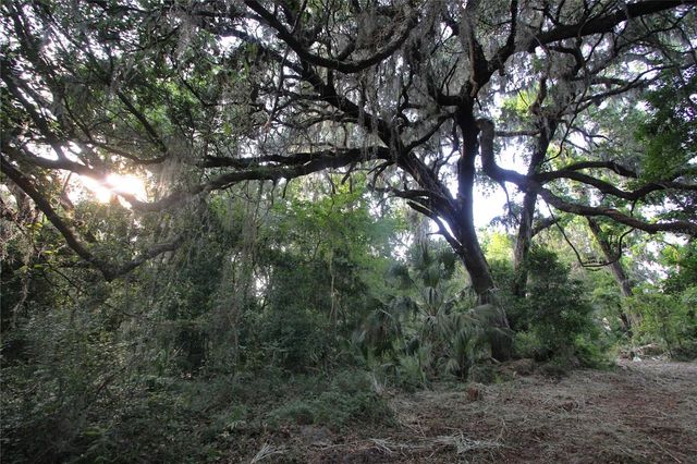 TBD CR 526, Sumterville, FL 33585