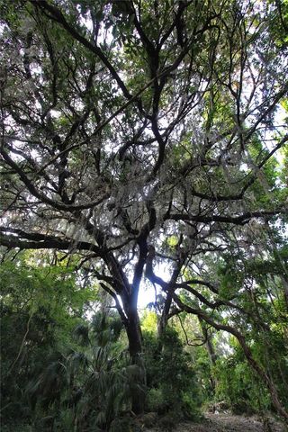 TBD CR 526, Sumterville, FL 33585