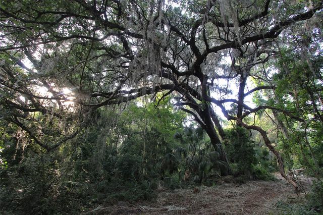 TBD CR 526, Sumterville, FL 33585