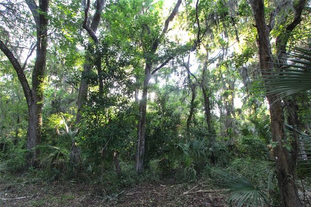 TBD CR 526, Sumterville, FL 33585