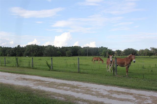 TBD CR 526, Sumterville, FL 33585