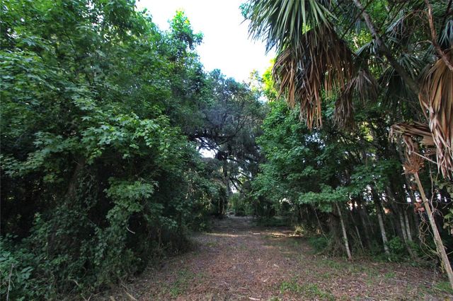 TBD CR 526, Sumterville, FL 33585