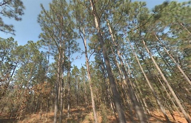 00 SW 39TH STREET, Dunnellon, FL 34432